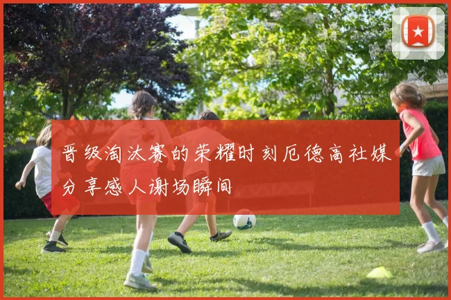 晋级淘汰赛的荣耀时刻厄德高社媒分享感人谢场瞬间